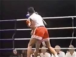 Trận đấu lịch sử giữa nữ huyền thoại boxing và nhà vô địch Muay Thái