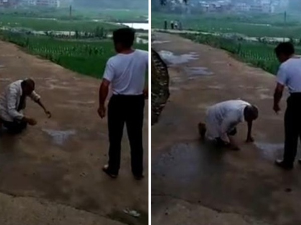 Cha già 90 tuổi quỳ rạp lạy con khiến dư luận dậy sóng