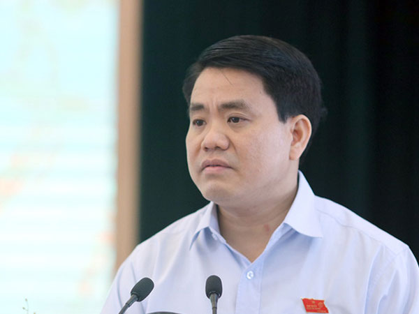 Chủ tịch Hà Nội: “Không thể trồng xà cừ cổ thụ trên các tuyến phố”