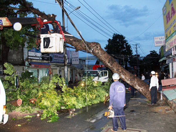 Cây bật gốc, nhiều nơi ở Sài Gòn cắt điện vì mưa lớn
