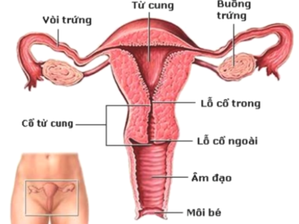 8 dấu hiệu lạ cảnh báo bạn bị ung thư cổ tử cung
