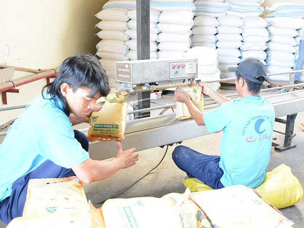 Cấm xuất khẩu gạo là hết sức vô lý
