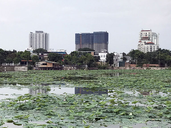 Hà Nội: Làm rõ thông tin loạt biệt thự “mọc” trên đất nông nghiệp Hồ Tây