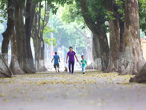 Miền Bắc chuyển mát vào đầu tuần tới