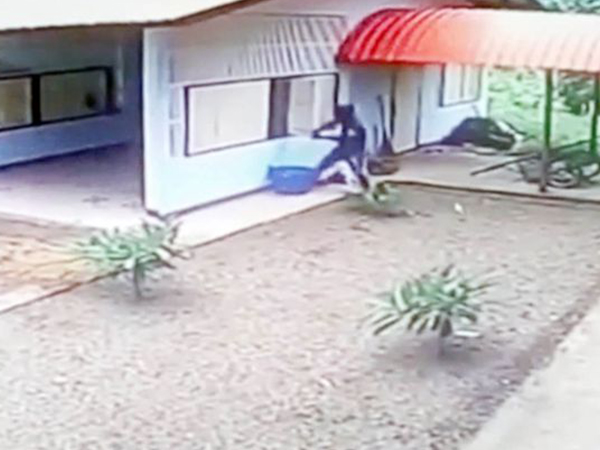 Tên trộm ngu ngốc chật vật đột nhập ga-ra mở toang hoác từ... cửa sổ