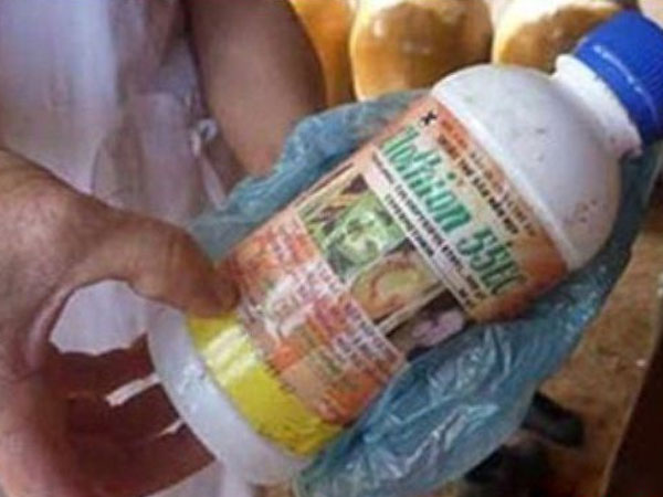 Nghi án bé trai 11 tuổi đổ thuốc sâu vào bình nước định đầu độc cả nhà cậu