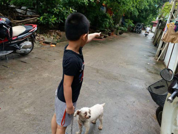 Nghi vấn bé trai 5 tuổi bị người phụ nữ trẻ bắt cóc giữa trưa ở Hà Nội