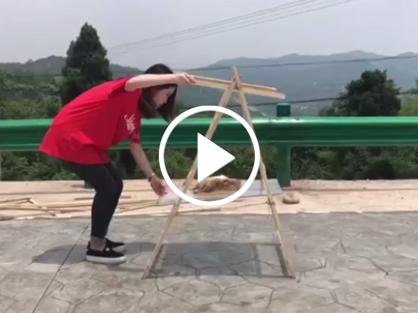 Video: Thánh nữ công sở nướng vịt cực ngon không cần bếp