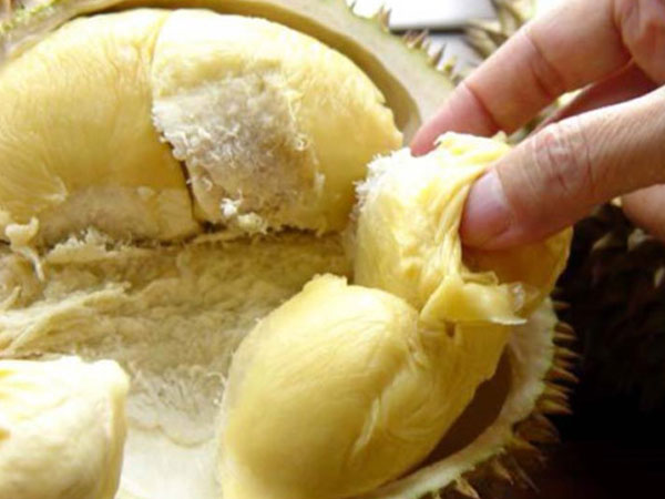Khi nào sầu riêng trở thành chất độc với cơ thể?