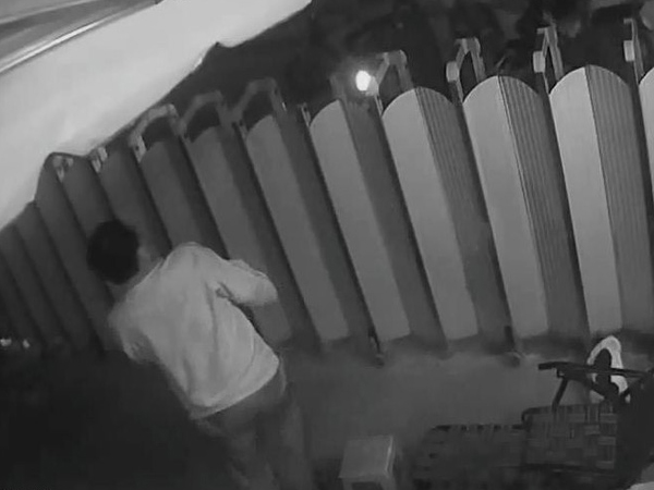Băng "cẩu tặc" dùng kích điện tấn công cả chủ nhà: Rùng mình vì sự manh động