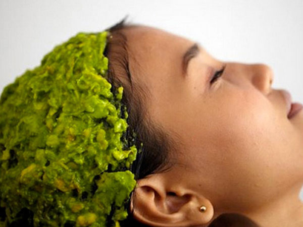 Đang mùa bơ, tranh thủ mua về ủ tóc, đắp mặt, đắp toàn thân luôn chị em