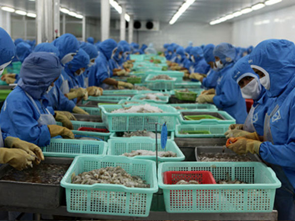 Bốn tháng xin 1 giấy phép: Còn thời gian đâu làm ăn?