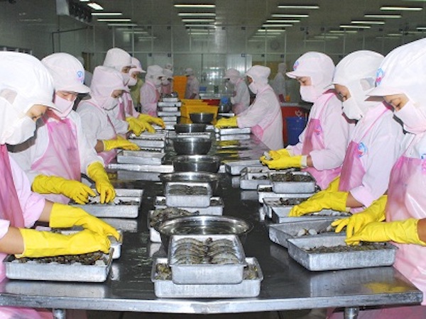 DN thực phẩm bị “hành”bởi Nghị định không có trong Luật?