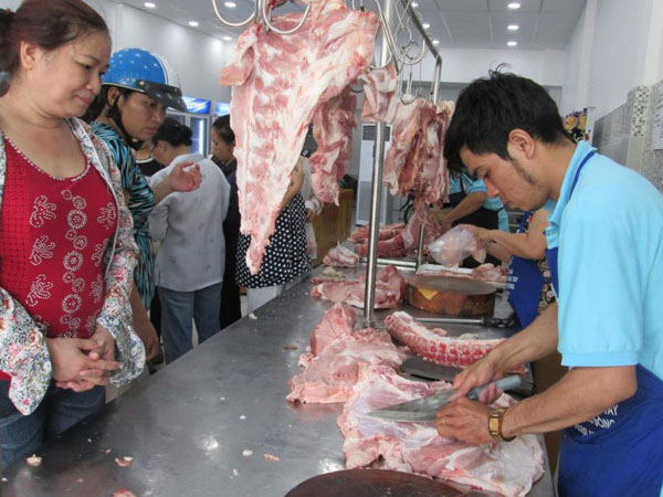 Trung Quốc lại gom heo, giá tăng từng ngày