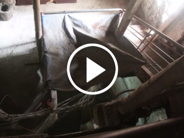 Video: Những ngôi nhà cổ vừa ở vừa run tại thành phố Nam Định