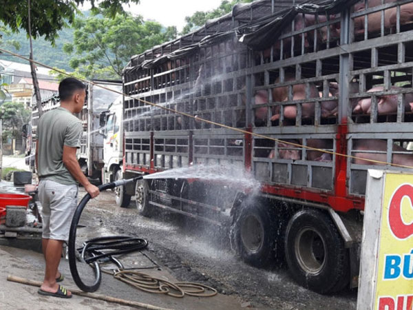 Thịt heo mỗi ngày tăng một giá, Bộ Công Thương nói gì?