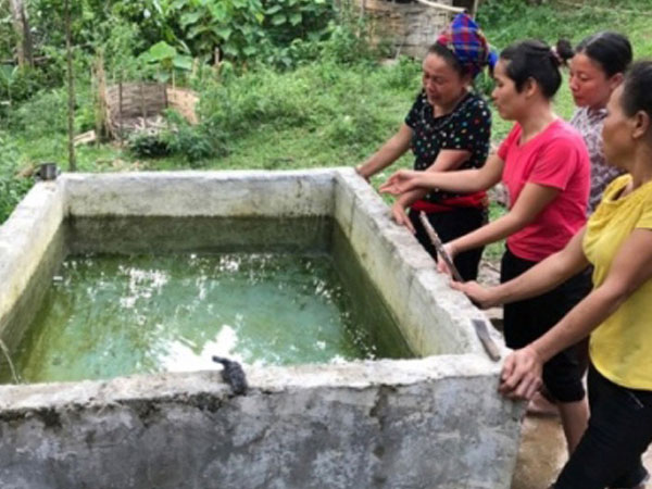 Cha đổ gục khi phát hiện hai con nhỏ chết thương tâm trong bể nước