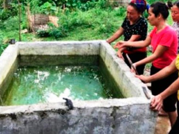 Chết lặng thấy 2 con chết đuối trong bể nước