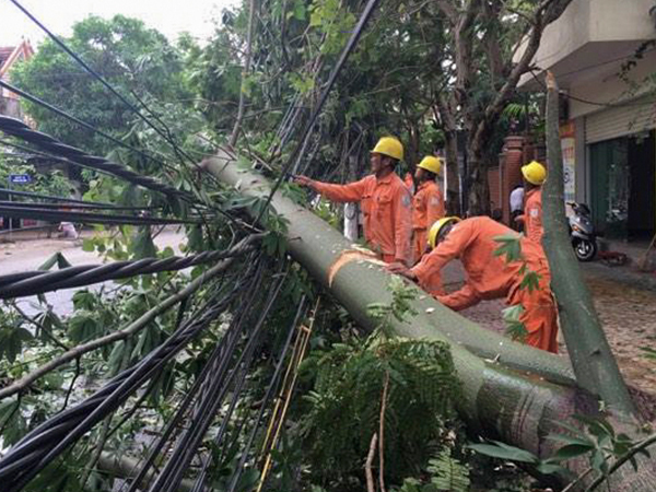 Điện lực thiệt hại hàng chục tỷ đồng sau bão số 2 Talas