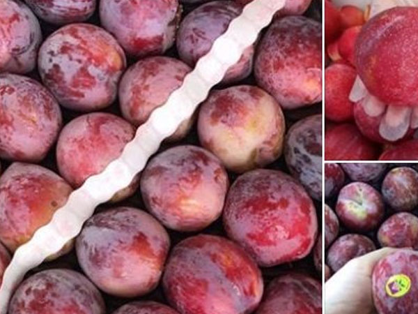 Mận Nhật - Mỹ đổ về Việt Nam: Giá gần 1 triệu/kg vẫn đắt khách
