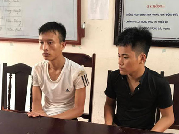 Lợi dụng trời mưa, hai đối tượng cưa trộm gỗ sưa