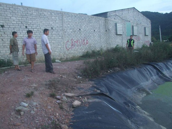 Bé gái 9 tuổi trượt chân xuống hố biogas tử vong