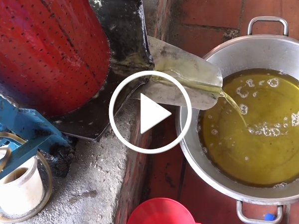 Video Máy ép dầu lạc từ phế liệu của nông dân Khánh Hòa