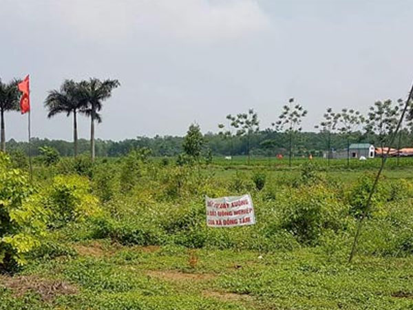 Hà Nội kiến nghị thu hồi đất sân bay Miếu Môn bị chiếm trái phép