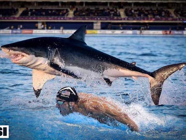 Huyền thoại Michael Phelps đua với cá mập: Khán giả sốc và phẫn nộ