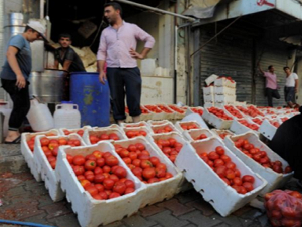 Ảnh mới nhất cuộc sống ở thành phố Aleppo sau giải phóng