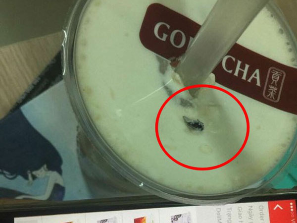 Đà Nẵng: Khách hàng phản ánh cốc trà sữa Gong Cha có ruồi, đại diện cửa hàng lên tiếng