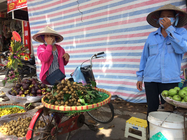Dân Hà Nội "ăn quả lừa" nhãn lồng Hưng Yên "xịn"