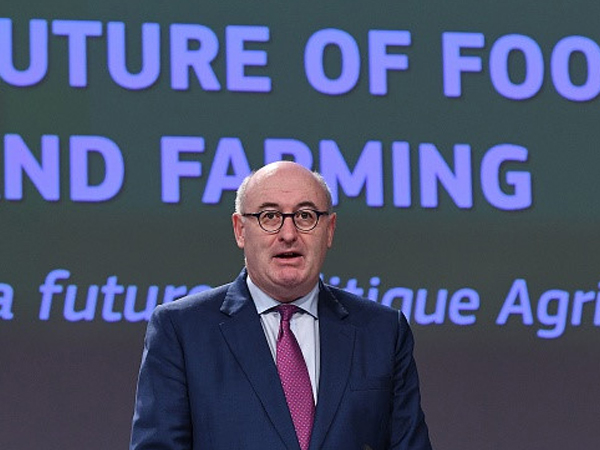 Cao ủy EU: Không thể tin nổi cách Anh đàm phán Brexit