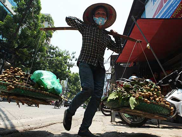 Dân Thủ đô “cháy da, đỏ thịt” trong nắng nóng vượt ngưỡng 40 độ C