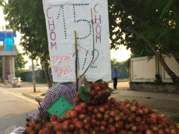 "Độc chiêu" kinh doanh hoa quả vỉa hè
