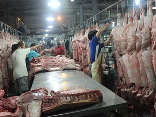 TPHCM: Thịt heo chợ đầu mối vẫn chưa thể truy xuất nguồn gốc