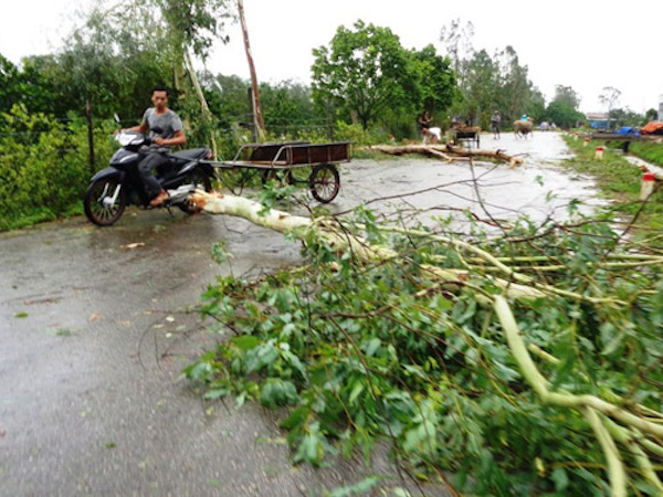 Tháng 8, Việt Nam phải hứng chịu bao nhiêu cơn bão?