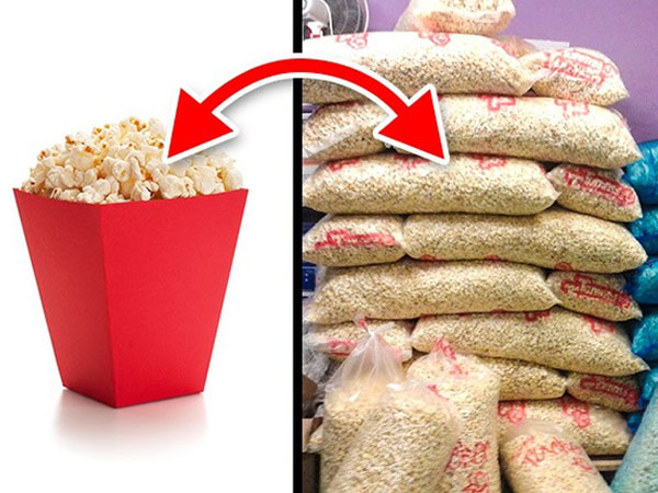 5 bí mật mà nhân viên ở rạp chiếu phim chỉ khi nghỉ việc rồi mới dám kể cho bạn