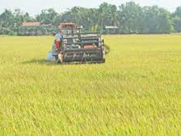 Tranh giành đất, em chém anh rồi dìm xuống nước