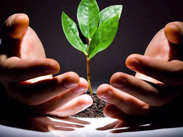 Luật nhân - quả ở đời và lời nhắn đến tất cả chúng ta: Chớ "sốt ruột"!