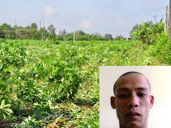 Khởi tố vụ thanh niên bắn chết nữ sinh lớp 11 ở Đồng Nai
