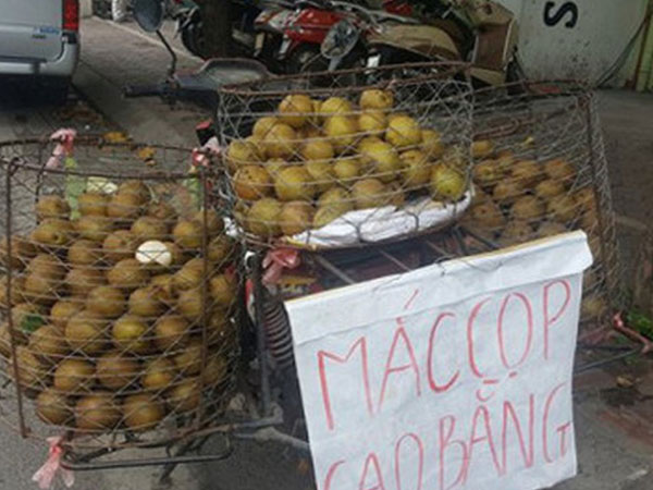 Mắc cọp giá rẻ Trung Quốc “mác” Cao Bằng tràn ngập gánh hàng rong ở Hà Nội