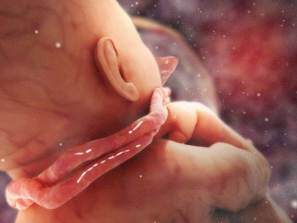 Sự thật về quan niệm mẹ bầu giơ 2 tay lên cao con sẽ bị dây rốn quấn cổ