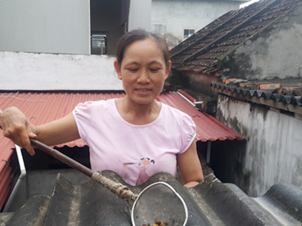 Ninh Bình: Hoang mang vì nước sạch toàn hến chết, bốc mùi hôi tanh