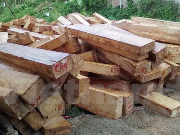 Xác minh thông tin chủ tịch xã sở hữu khối lượng lớn gỗ để làm nhà