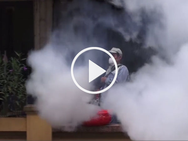 Video: Hà Nội lần đầu dùng máy phun mù nóng diệt muỗi