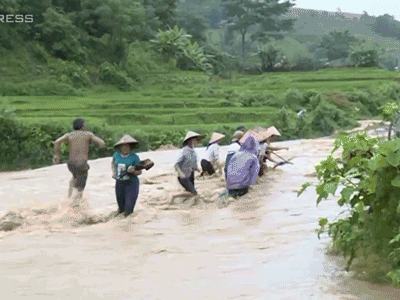 Video: Nhiều người đứng giữa dòng lũ vớt củi