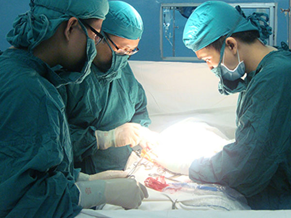 Ảnh bìa bài viết 475605