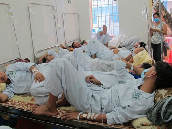 Cuộc sống đảo lộn khi cả nhà cùng bị sốt xuất huyết