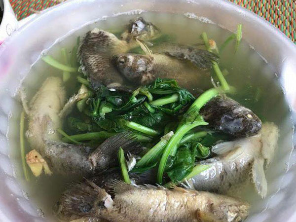Chồng thèm ăn cá rô nấu rau cải, vợ đãi ngay bát canh cá nguyên vây trắng nhởn, rau dài như bó đũa
